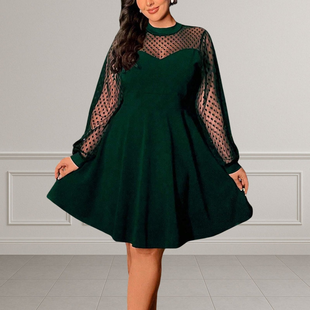 Polka Dot Mesh Sleeve A-Line Dress