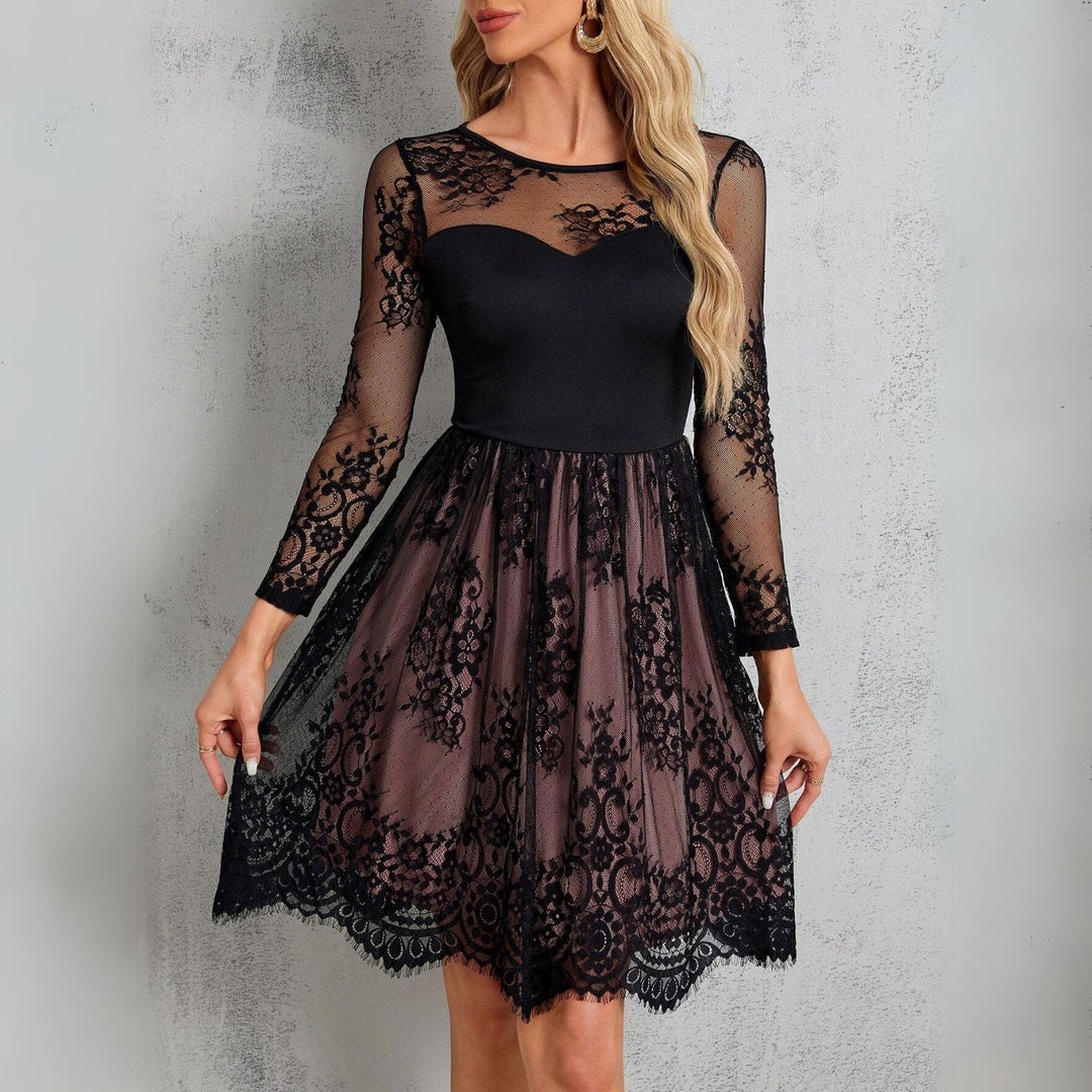 Women's Lace Contrast A-Line Mini Dress