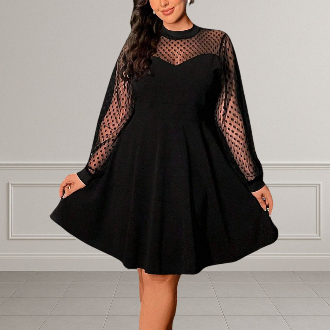 Polka Dot Mesh Sleeve A-Line Dress